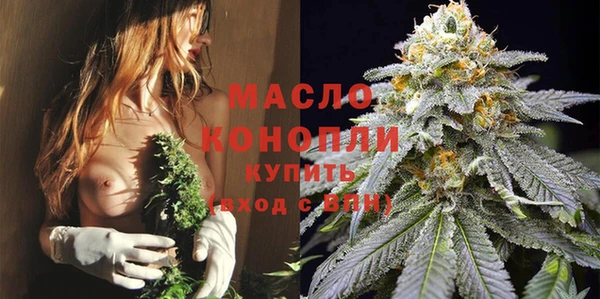 молекула духа Новозыбков