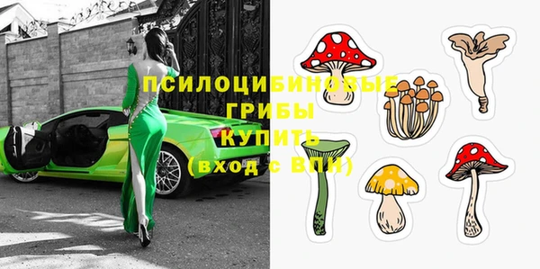 прущая мука Абаза