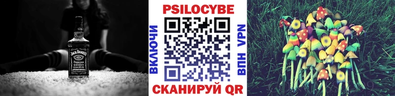 Псилоцибиновые грибы мухоморы  где купить наркоту  Урус-Мартан 